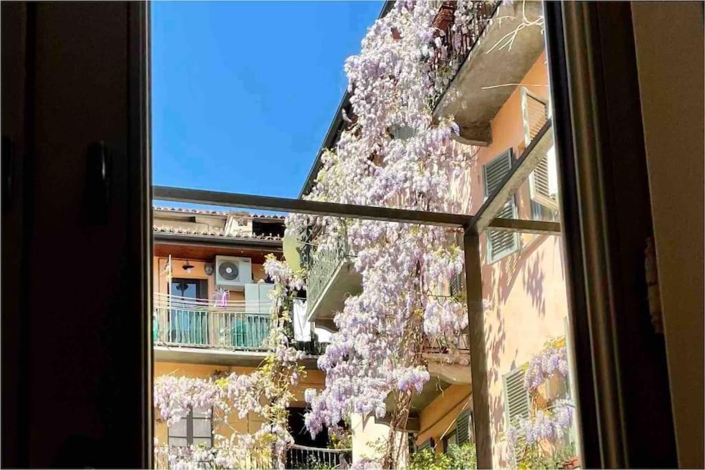 Casa 1881 Appartamento *